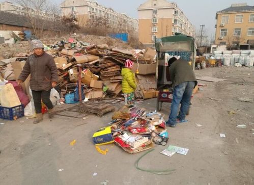 废品降价配音视频，废品涨价掉价要下载什么功能