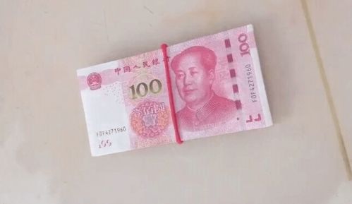 开废品回收站前景怎么样,资金投入需要多少?要办什么证件?