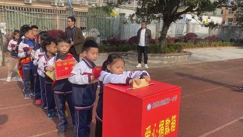 芮城小学收废品电话号码，新城小学开展回收废纸活动