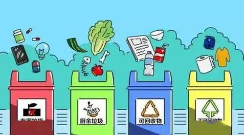 国外大学毕业生的废品利用现状