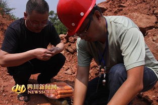 广汉废品站在哪里，广汉废旧机械市场在哪儿