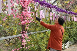 桃花社区附近收废品电话号码，桃村废品收购站电话