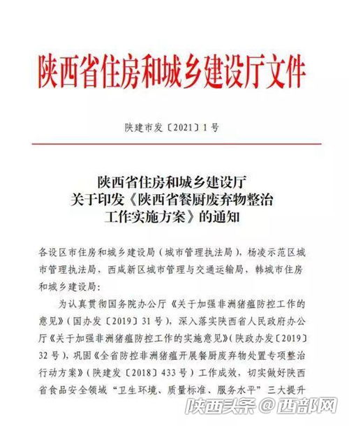 废品改正计划怎么写，废品整改报告