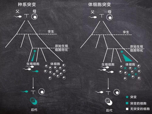 它们出现废品的概率是多少，多数废弃物中都有可能