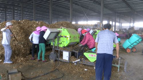 湖北省钟祥市有没有收老版纸币的吗