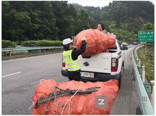 废品货运司机招聘，废品运输车